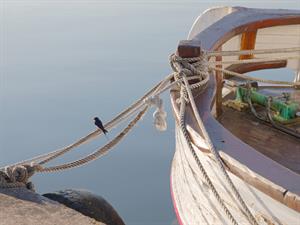 shutterstock_1197190672 (1).jpg