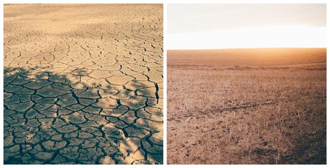 BeFunky-collage (32).jpg