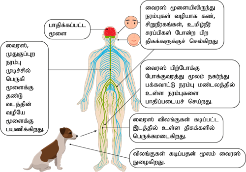 YCIND220625_3802_Health and hygiene.png