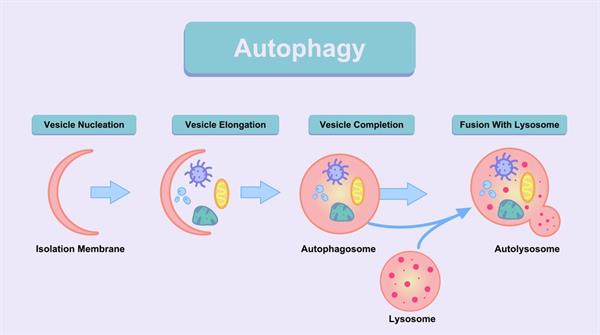 Screenshot 2021-04-16 204856.jpg