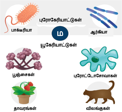 Design - YC IND (7).png