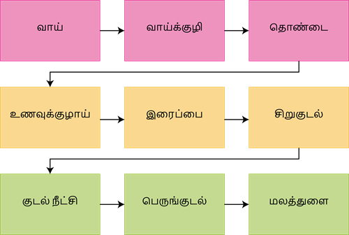 YCIND20220907_4452_Divya - Structural organisation of animals 2_01.png