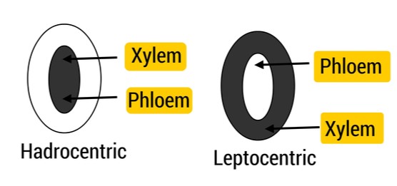 Screenshot 2021-06-04 111107.jpg