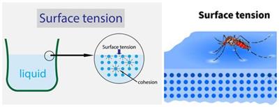 BeFunky-collage (18).jpg