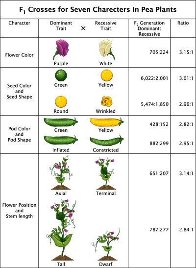 shutterstock_1462068644 (1).png