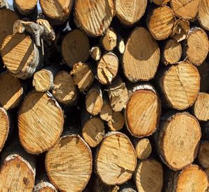 Apileofwoodlogs215584pixahivew1855.jpg
