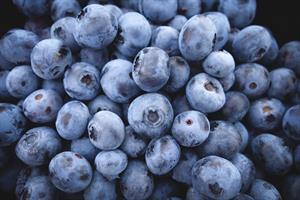 blueberries690072960720w300jpg.jpg