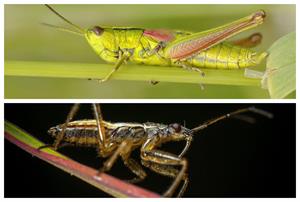 BeFunky-collage (1).jpg