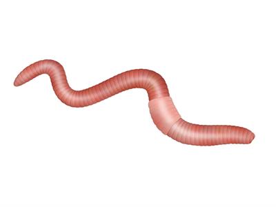 YCIND20220901_4399_Movements in animals_07.jpg