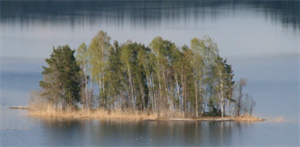 islet 2020-12-28 093822.png