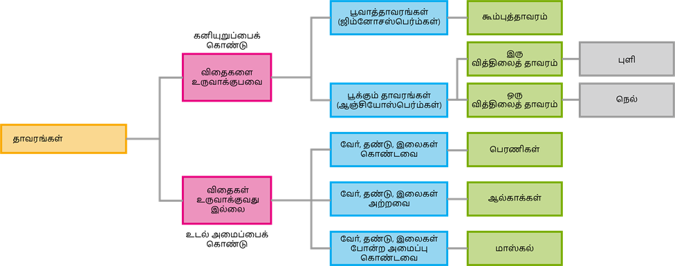 YCIND20220725_4041_Basis of classification_08.png