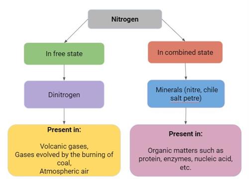 Nitrogen.JPG