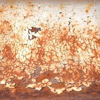 rust-2755589_640.jpg