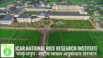ICAR-NRRI.jpg