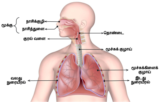 Design - YC IND (11).png