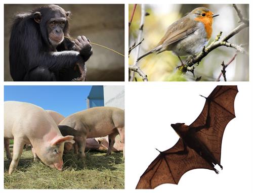 BeFunky-collage (33).jpg