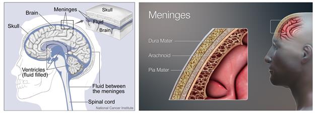 BeFunky-collage (71).jpg