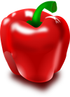 Capsicum.png