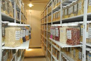 SeedBank.jpg