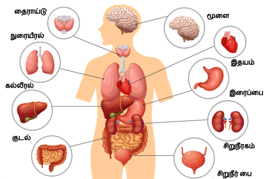 Design - YC IND (9).png