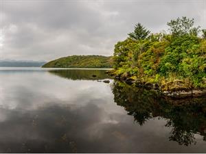 shutterstock_1112153042 (1).jpg