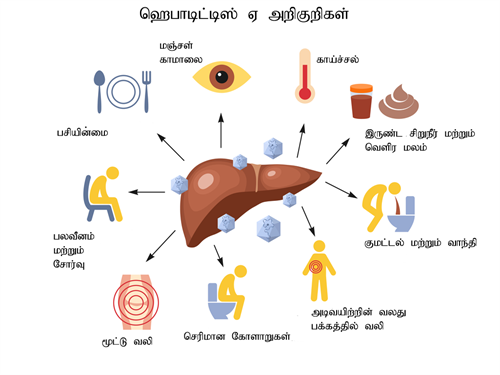 YCIND220625_3802_Health and hygiene_7.png