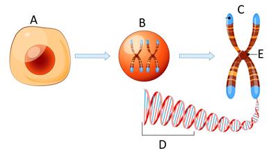 Screenshot 2021-12-28 095952.jpg