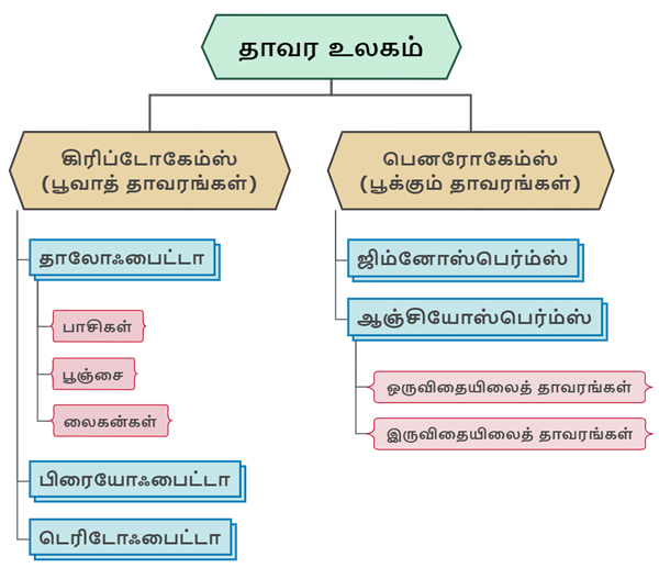 தாவர உலகம்.png