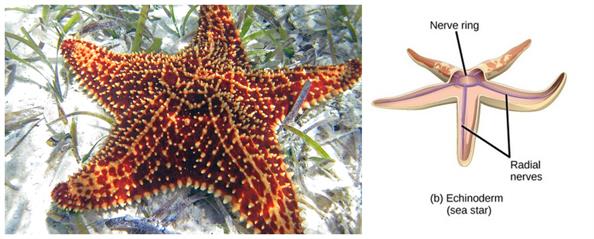 BeFunky-collage (66).jpg