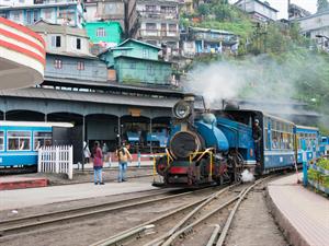 beibaoke Shutterstock (1).jpg