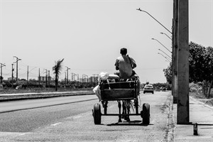 man-8532570_1280.jpg
