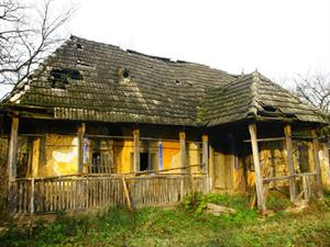 The haunted house .jpg