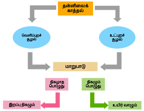 Design - YC IND (33).png