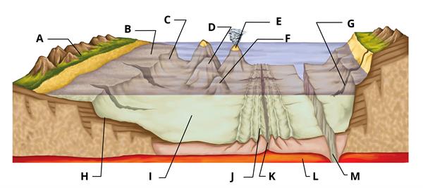 YCIND20220608_3875_Ocean Bed.jpg