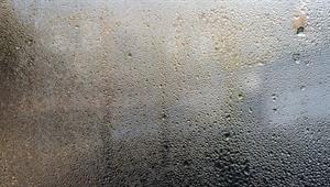 NULL_41d2b8c049a1eb9c.jpg