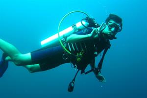 scuba-diver-261577_960_720.jpg