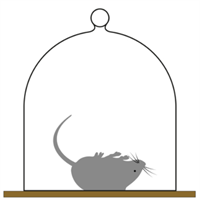 Screenshot 2021-07-26 092335.png