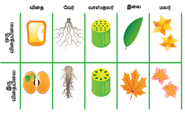 Design - YC IND (9).png