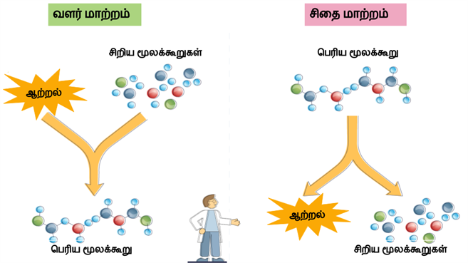 Design - YC IND (15).png