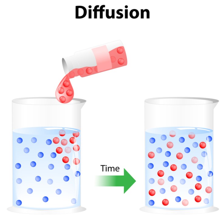 Diffusion Before Types of transport — lesson. Science State Board, Class 10.