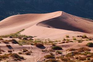 pink-sand-dunes-65310_960_720.jpg