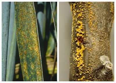 BeFunky-collage (23).jpg