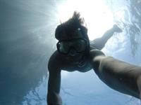 underwater-691415_640.jpg