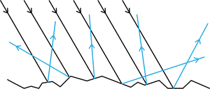 YCIND_230224_5053_Light_CBSE 8th_3_3.png