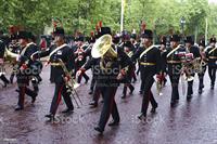 parade.jpg