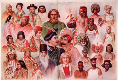 human races.png