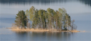 islet 2020-12-28 093619.png