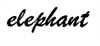 elephant2.png