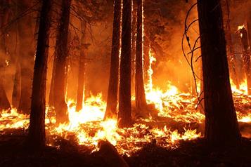 wildfire1105209960720jpg.jpg