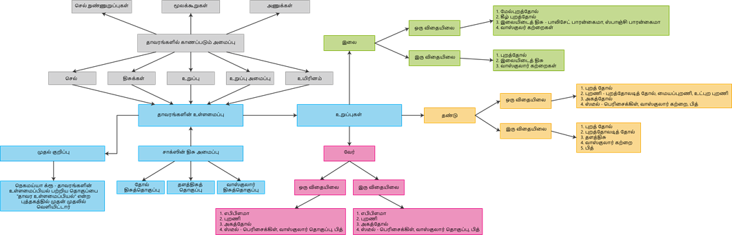 YCIND20220804_4089_Plant anatomy and physiology_10.png
